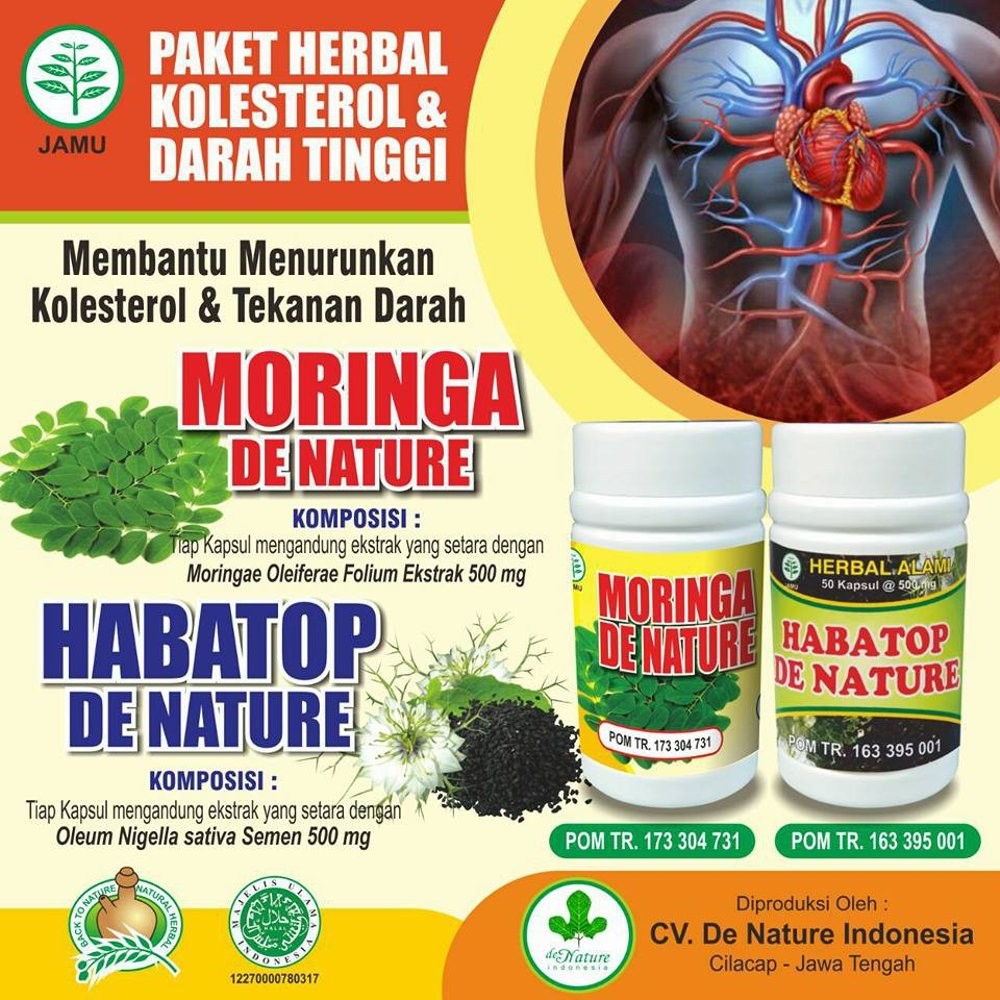 Obat Hipertensi / Darah Tinggi De Nature