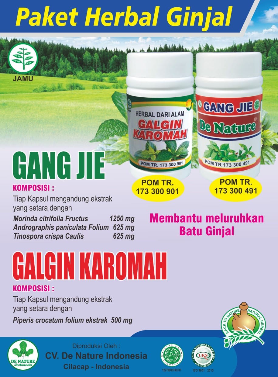 HERBAL BATU GINJAL / KENCING BATU / KENCING SAKIT – Apotik Herbal De Nature