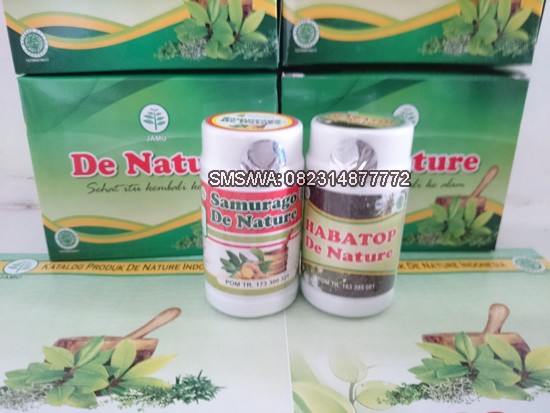 Obat Herbal Asam Urat Ampuh De Nature
